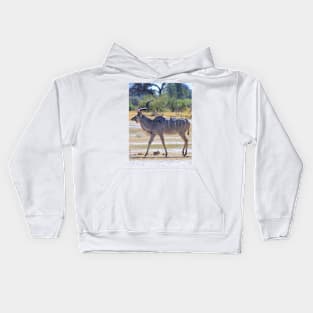 Male Kudu Antelope with Oxpecker Birds Kids Hoodie